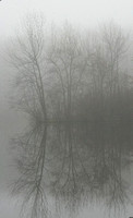 Gilmore Pond in Fog