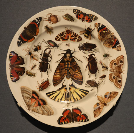 Plate decorated with Moths and Butterflies