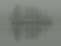 Mill Pond in Fog