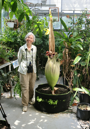 Annie with Corpse Flower