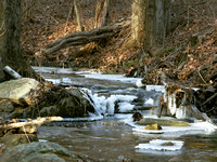Stream at Westboro Reservoir